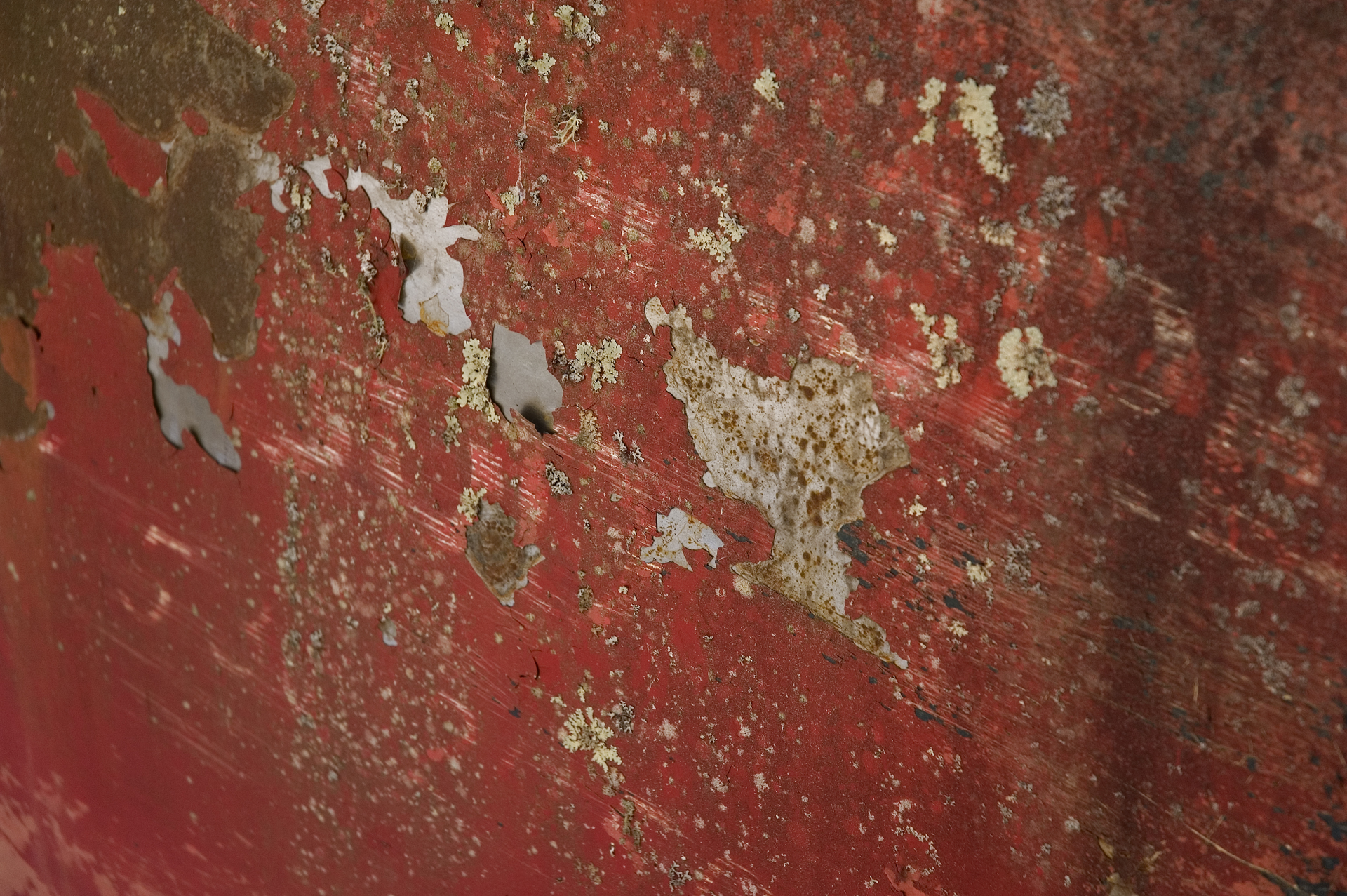 Texture Series: 4105