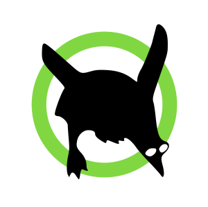 Client - Aeronautic Vigilante logo design