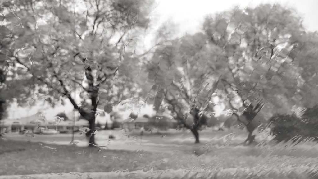 2025 11 03 vitriologue rain and decay