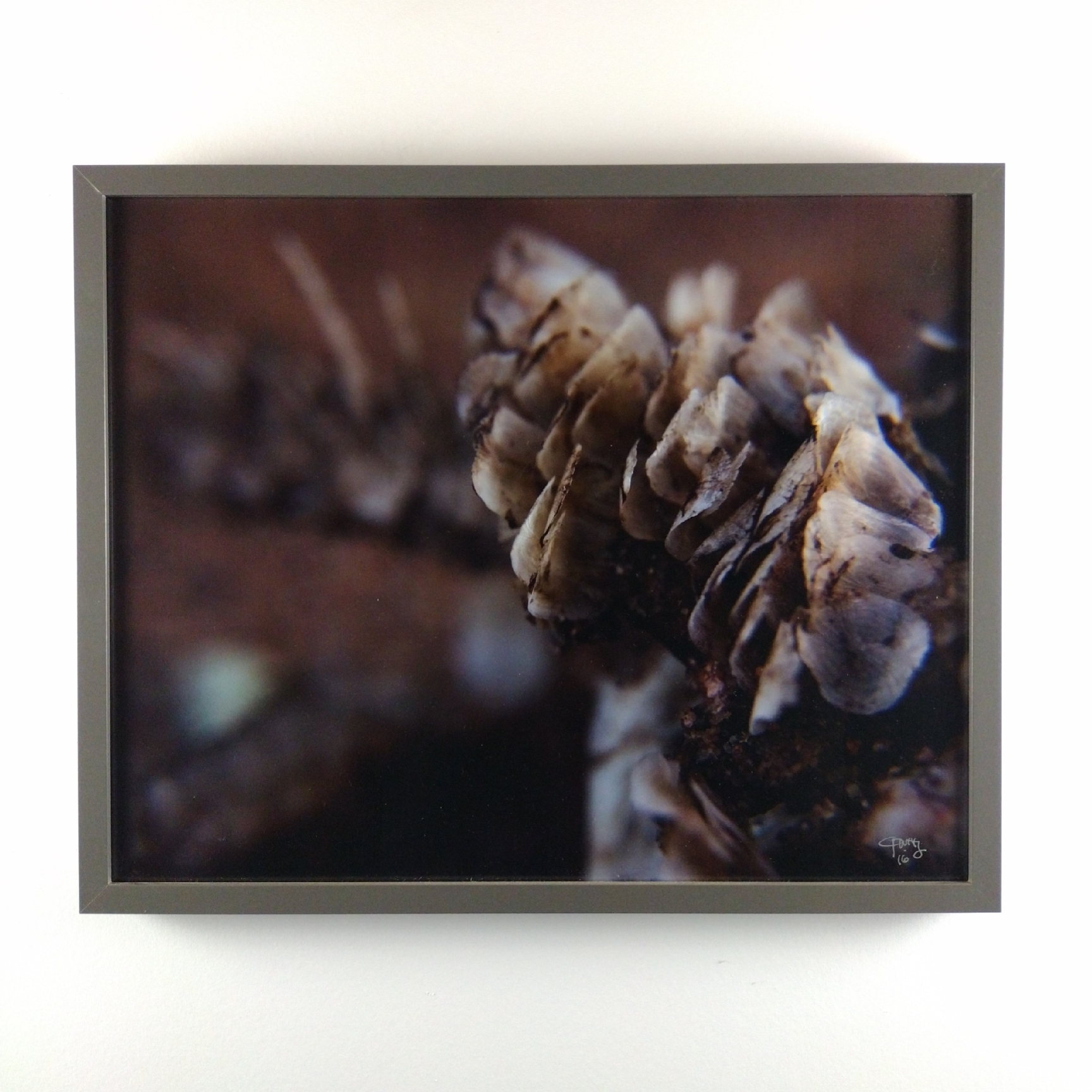 Tiny Universes 5562, 2016, by Joshua W Murray