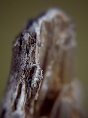 Tiny Universes 5602, 2016, by Joshua W Murray