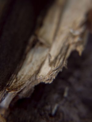 Tiny Universes 5608, 2016, by Joshua W Murray