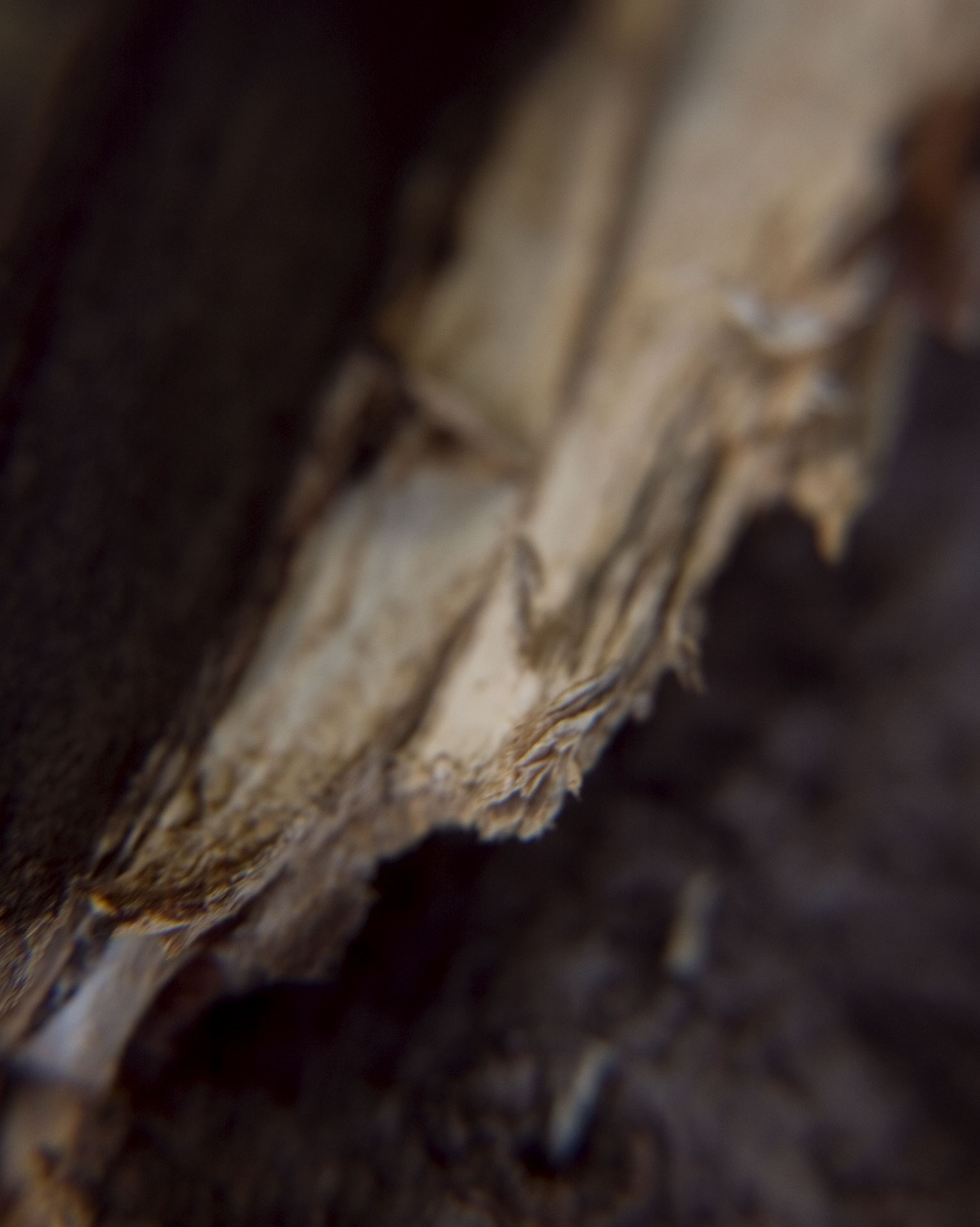 Tiny Universes 5608, 2016, by Joshua W Murray