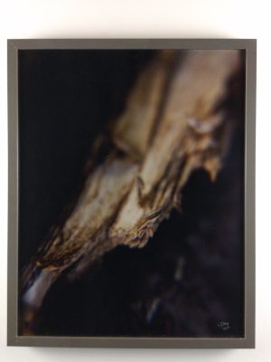 Tiny Universes 5608, 2016, by Joshua W Murray