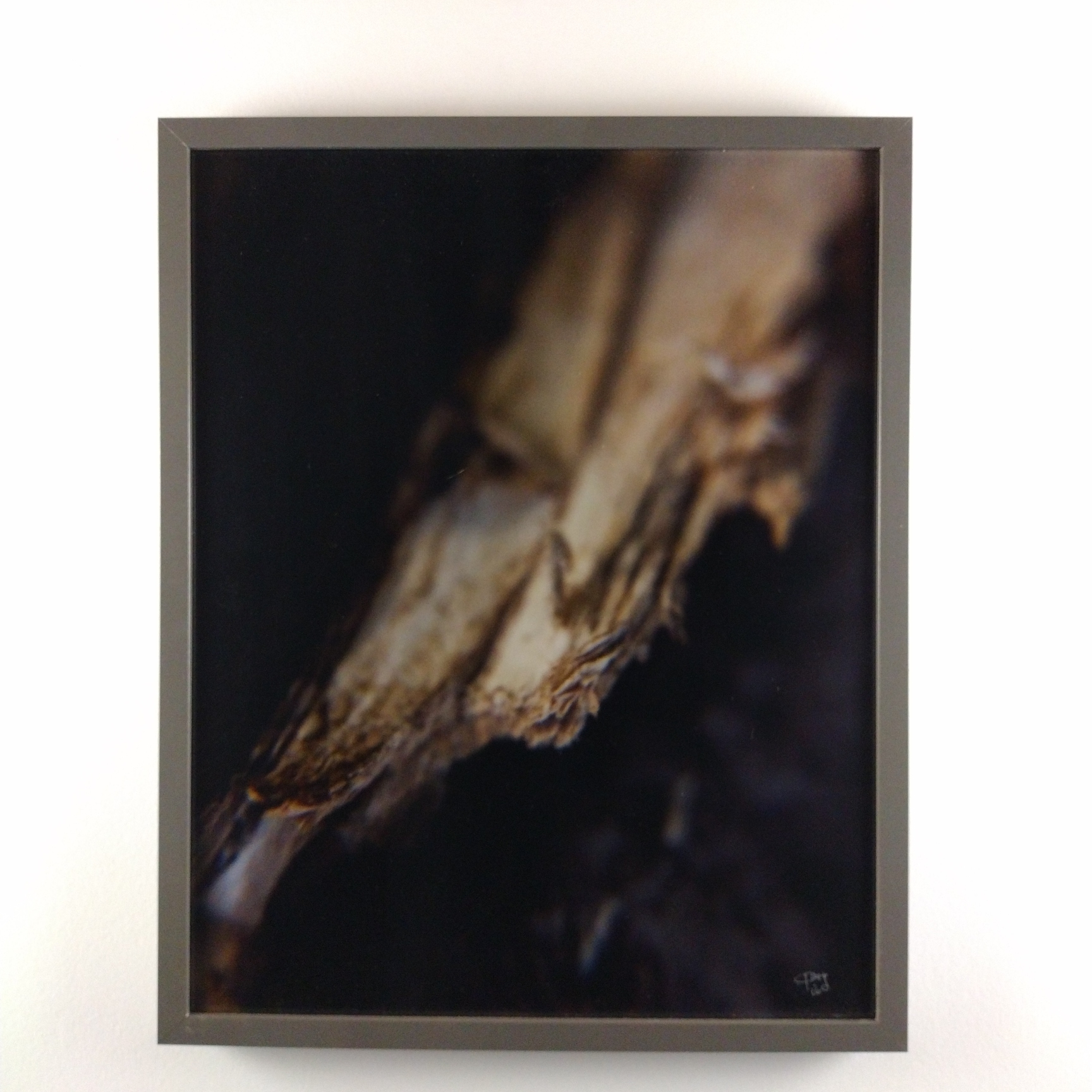 Tiny Universes 5608, 2016, by Joshua W Murray