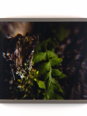 Tiny Universes 5615, 2016, by Joshua W Murray