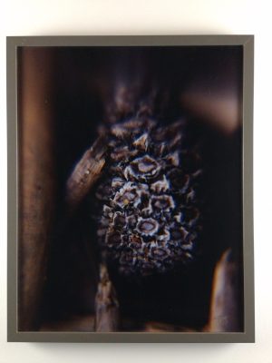 Tiny Universes 5724, 2016, by Joshua W Murray