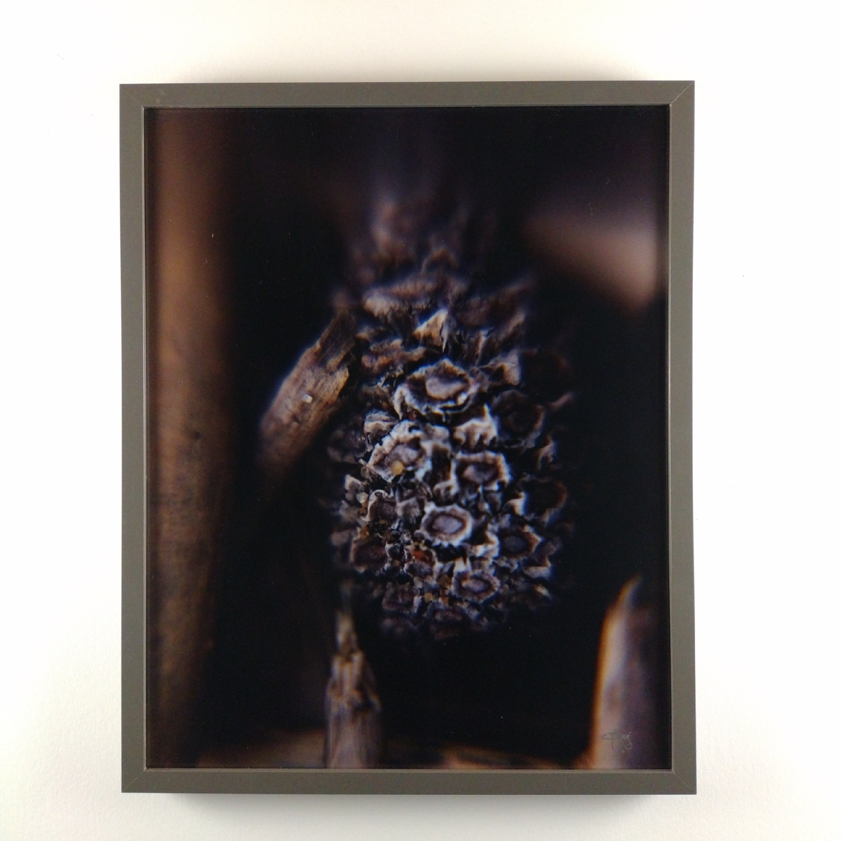 Tiny Universes 5724, 2016, by Joshua W Murray