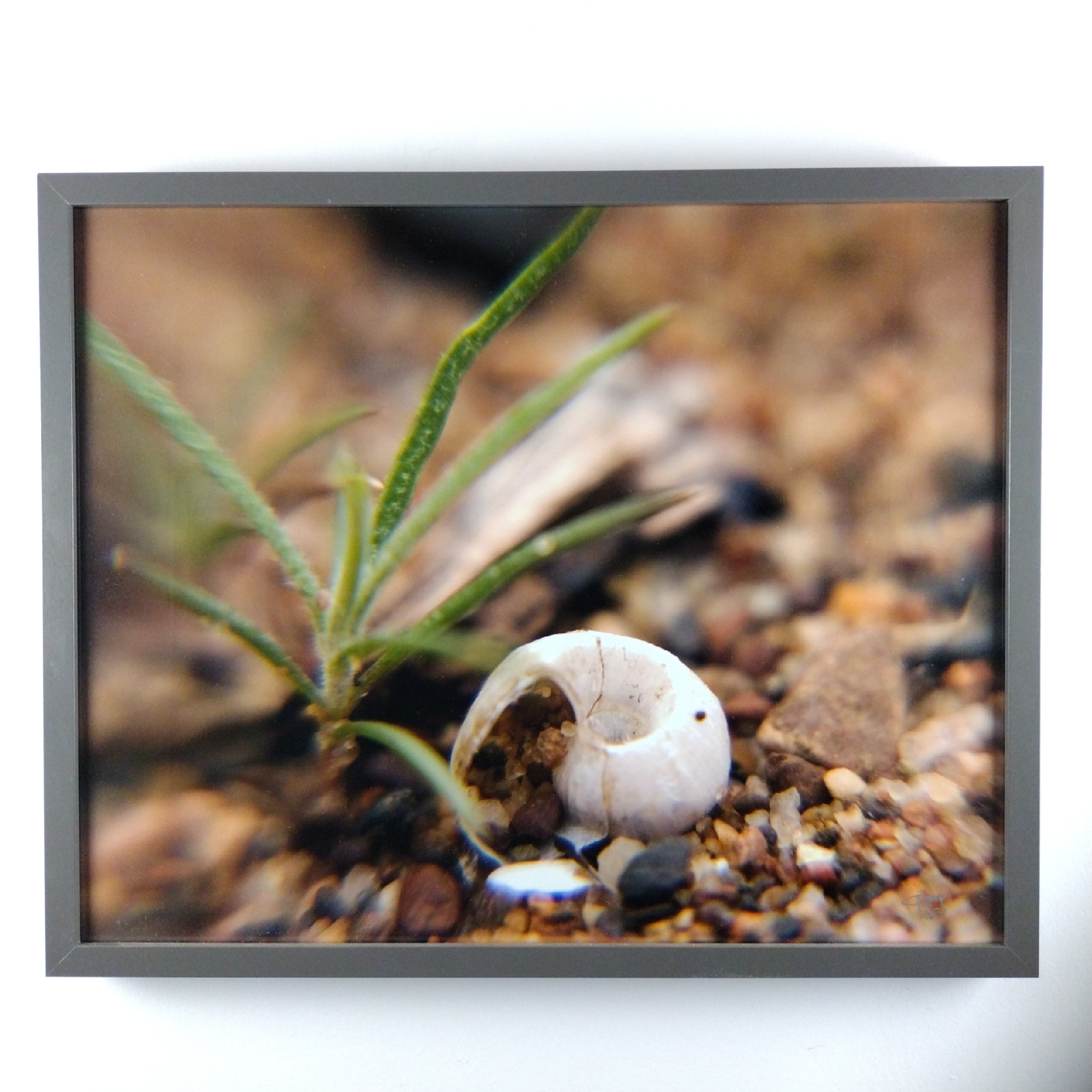 Tiny Universes 5732, 2016, by Joshua W Murray