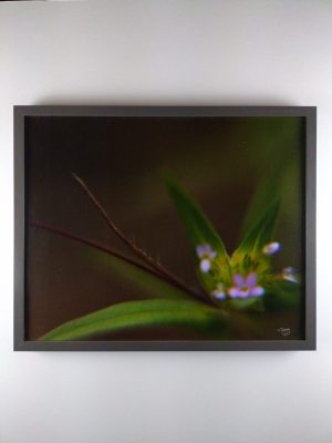 Tiny Universes 5741, 2016, by Joshua W Murray