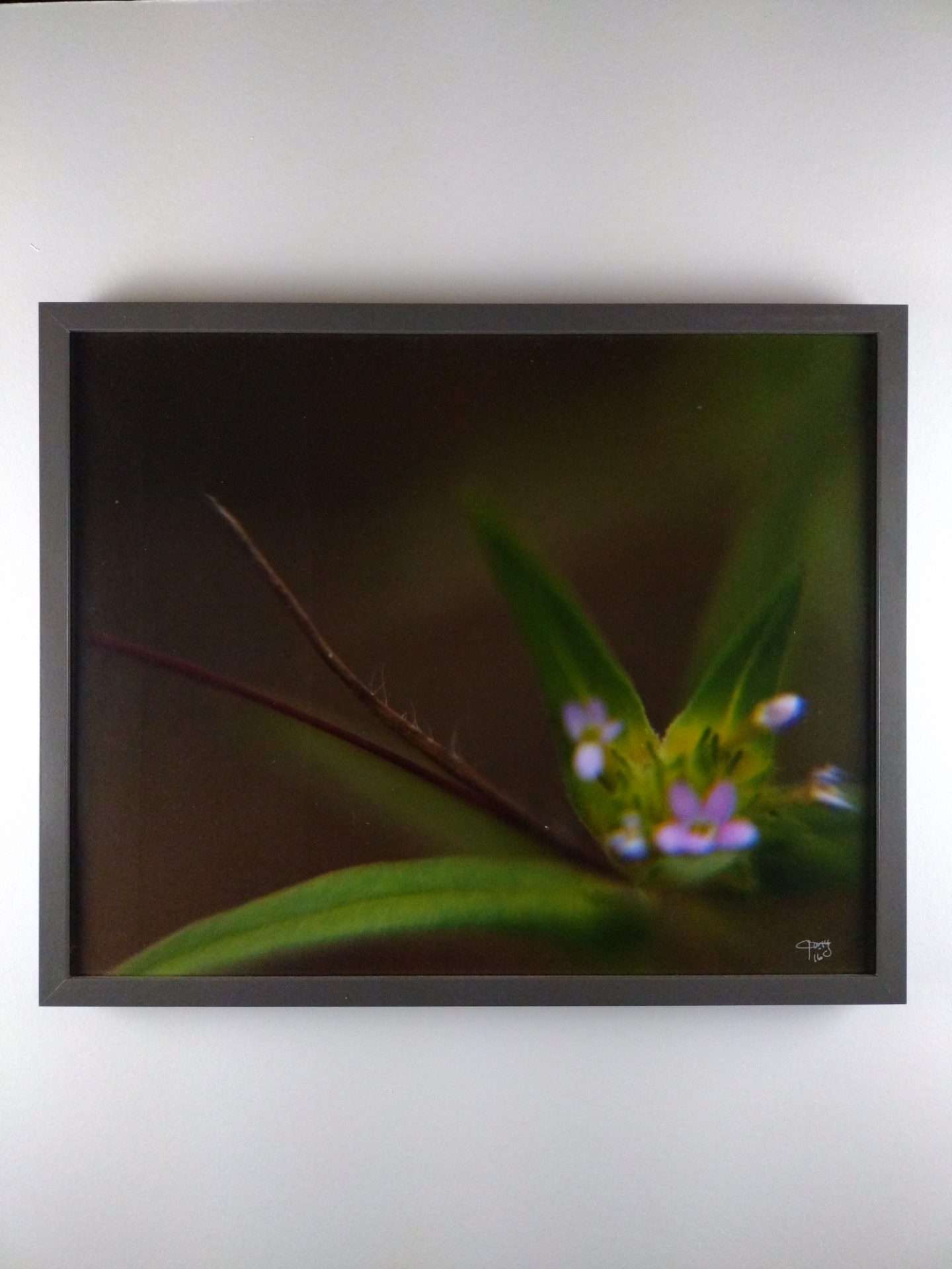 Tiny Universes 5741, 2016, by Joshua W Murray