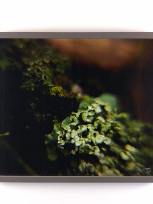 Tiny Universes 5879, 2016, by Joshua W Murray