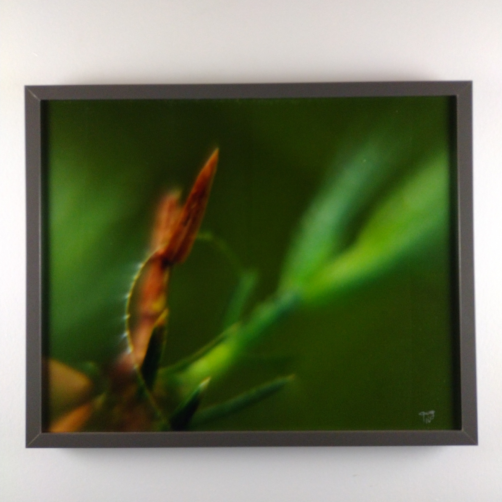 Tiny Universes 5885, 2016, by Joshua W Murray